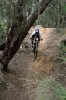 DSC_0415.jpg DSC_0415.jpg