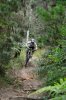 DSC_0447.jpg DSC_0447.jpg