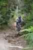 DSC_0451.jpg DSC_0451.jpg