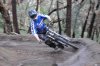 DSC_0144.jpg DSC_0144.jpg