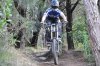 DSC_0212.jpg DSC_0212.jpg