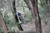 DSC_0248.jpg DSC_0248.jpg