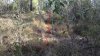 2012-09-30_15-15-03_137.jpg 2012-09-30_15-15-03_137.jpg