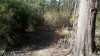 2012-09-30_15-17-14_103.jpg 2012-09-30_15-17-14_103.jpg