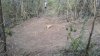 2013-01-06_17-03-09_679.jpg