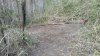2013-01-06_17-03-38_417.jpg