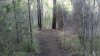 2013-01-06_17-08-44_492.jpg
