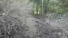 2013-01-06_17-11-53_38.jpg