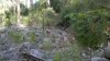 2013-01-06_17-13-36_745.jpg
