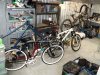 bikes1.jpg