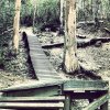 gap-creek-mt-cootha-mtb-trails-wooden-features.jpg