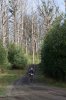 Rider-with-trees.jpg