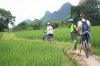 Guilin rice field biking.jpg