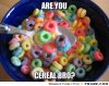 frabz-ARE-YOU-CEREAL-BRO-d49a4b.jpg