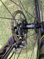 IMG_2656Low Res - Copy.jpg