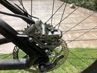 IMG_2662Low Res - Copy.jpg