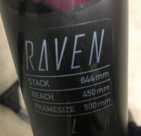 Raven S&R.jpg