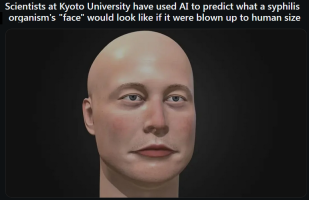 1732516552965.png