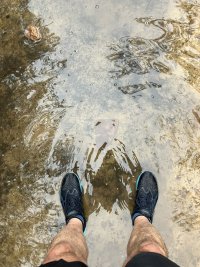 IMG_0544.JPEG