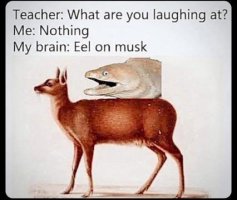 p746jkgjvofe1.jpeg