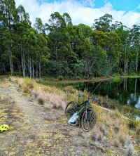 MTB Four springs.jpg