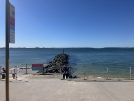 IMG_3006.JPEG