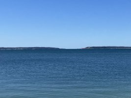 IMG_3008.JPEG
