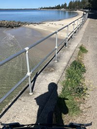 IMG_3011.JPEG