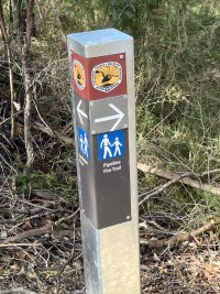 IMG_2987.JPEG