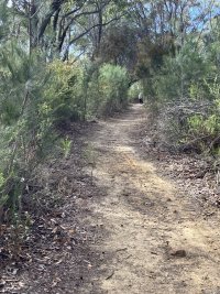 IMG_2991.JPEG