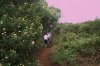 100_5456.jpg