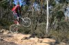 Lithgow State Round - Rider 26 - 2 Small.jpg