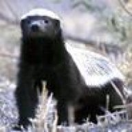 angrybadger