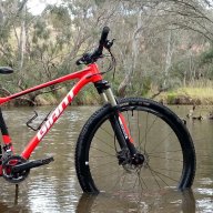 steve mtb