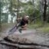 turtleracing08