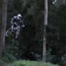 timmy0081
