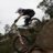 blake_lombard