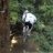 dirt_rider17